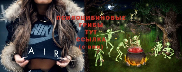 синтетический гашиш Новодвинск