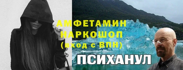 трава Новозыбков